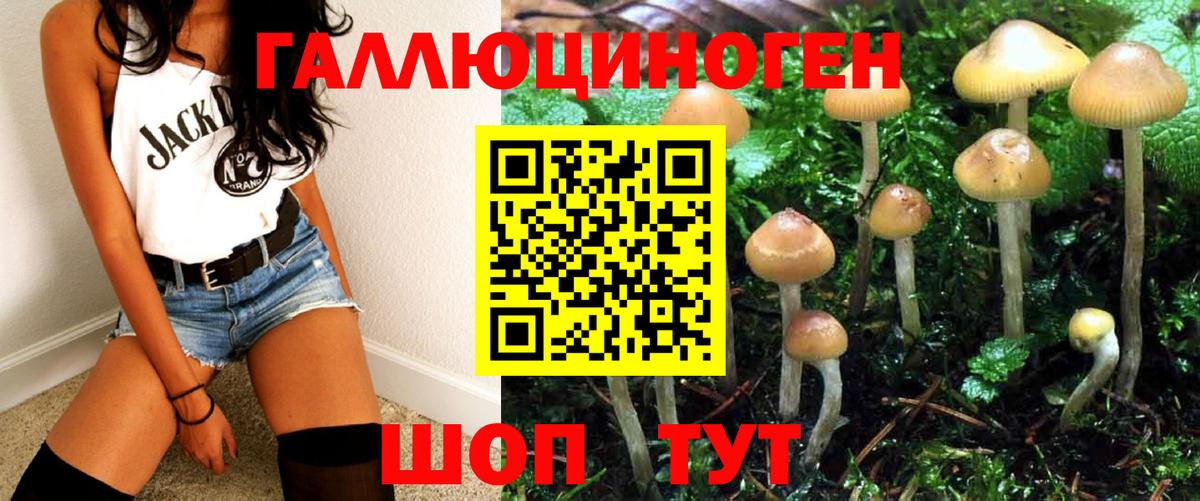 Нижний Тагил  Галлюциногенные грибы мухоморы  Вход с VPN 
